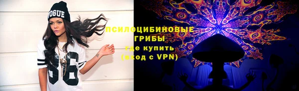 эйфоретик Алзамай