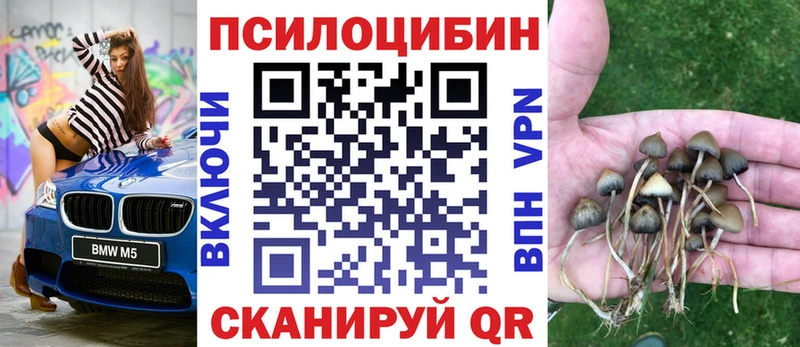 Псилоцибиновые грибы прущие грибы  Грязовец 